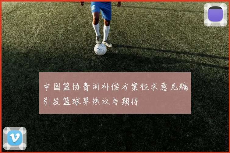 中国篮协青训补偿方案征求意见稿引发篮球界热议与期待