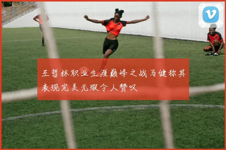 王哲林职业生涯巅峰之战马健称其表现完美无瑕令人赞叹